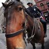 Woman Sues City For NYPD Horse Bite